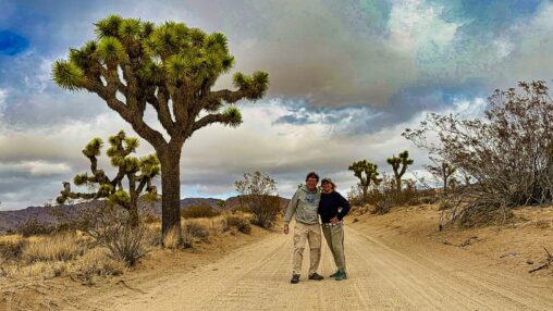Joshua Trees National Park