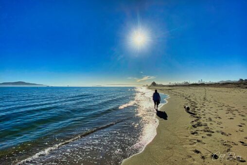 Crissy Field Beach