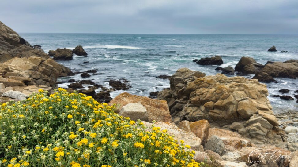 Pacific Grove California