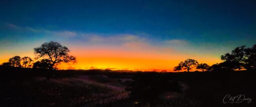 Sensorio Paso Robles