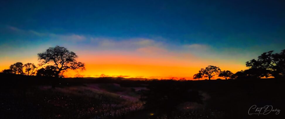 Sensorio Paso Robles