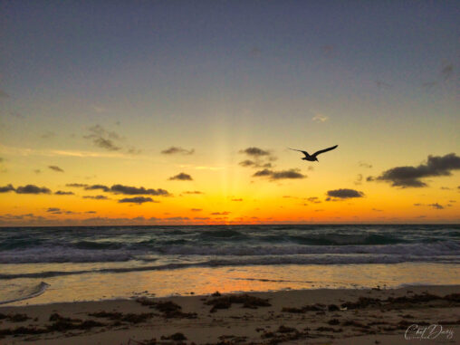 Cocoa Beach Sunrise