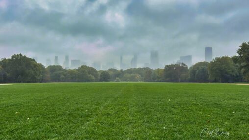 Central Park Rainy Day