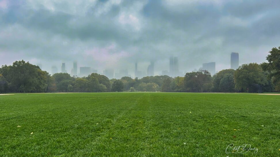 Central Park Rainy Day